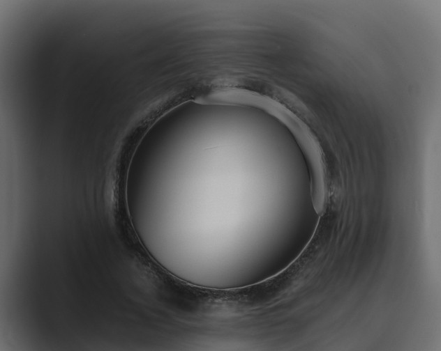 X0000089670732200706281339