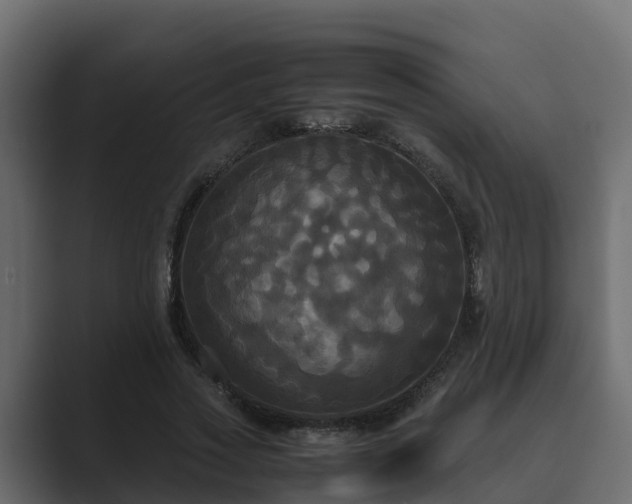 X0000089670733200706281339