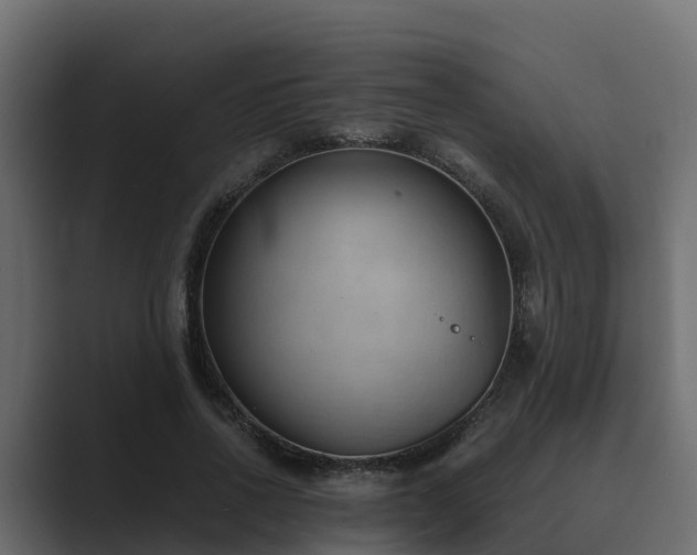 X0000089670734200706281339