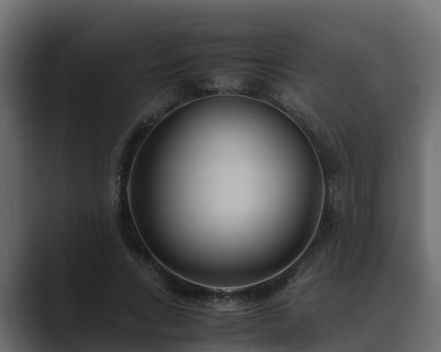 X0000089670735200706281339