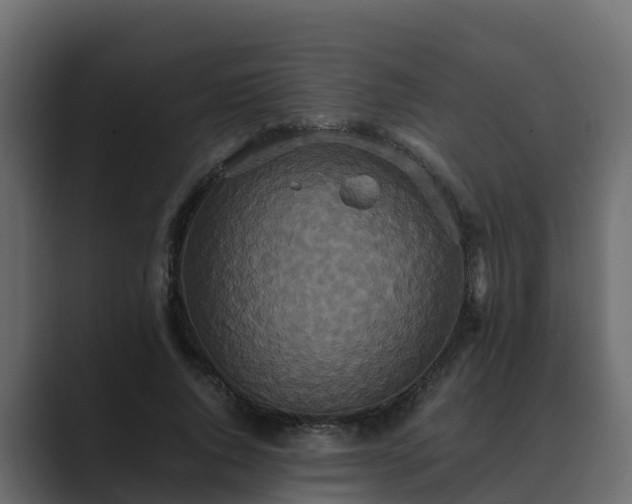 X0000089670736200706281339