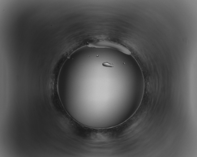 X0000089670739200706281339