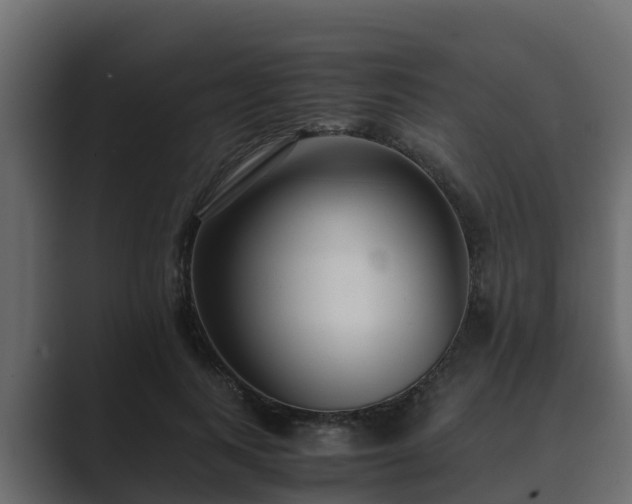 X0000089670743200706281339