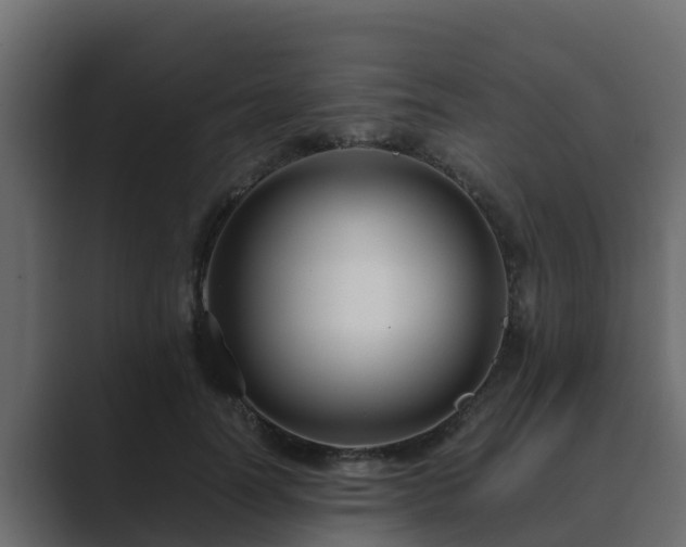 X0000089670746200706281339