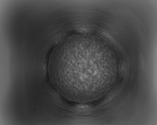 X0000089670749200706281339