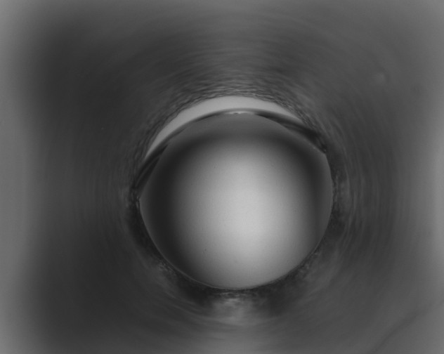 X0000089670750200706281339