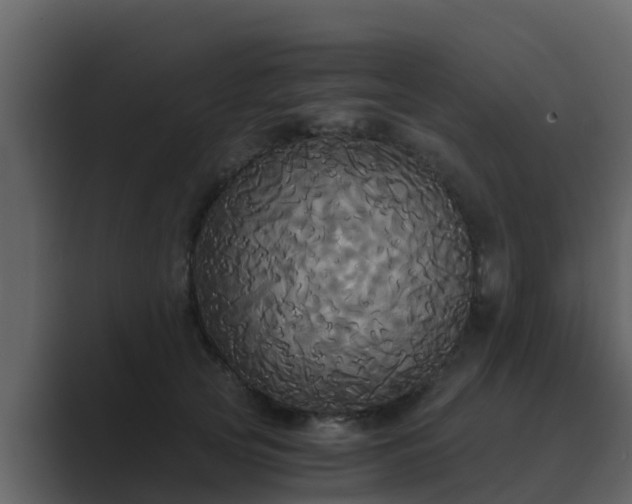 X0000089670753200706281339
