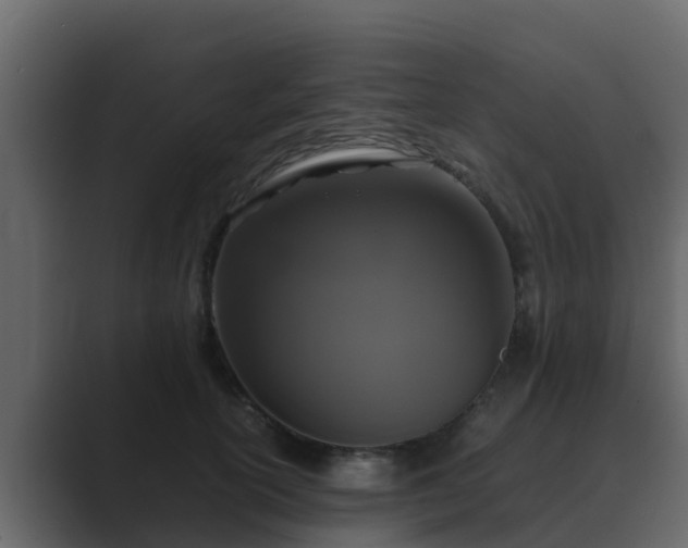 X0000089670754200706281339