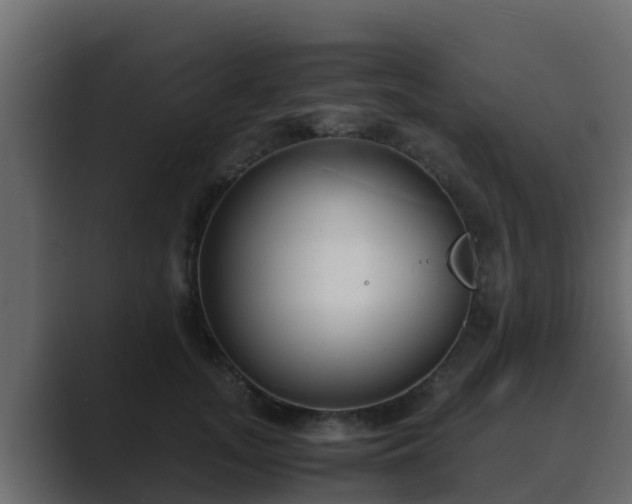 X0000089670755200706281339