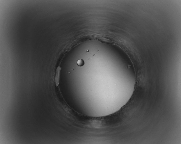 X0000089670756200706281339