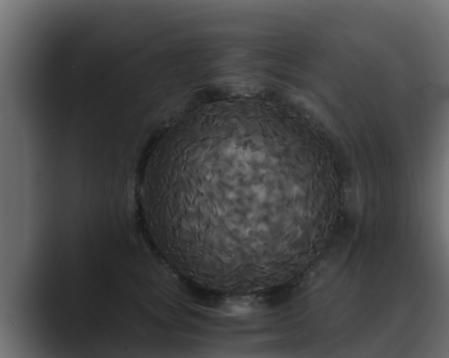 X0000089670757200706281339