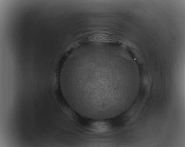 X0000089670759200706281339