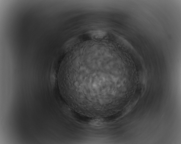 X0000089670761200706281339