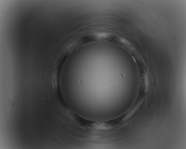 X0000089670762200706281339