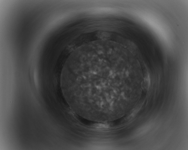 X0000089670765200706281339