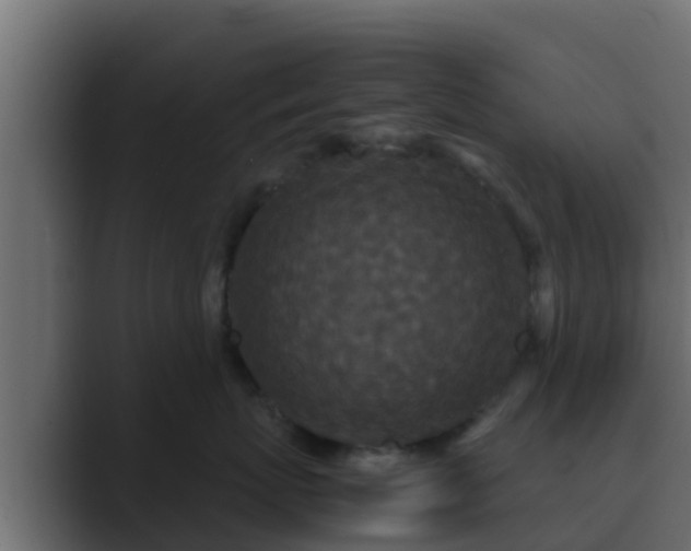 X0000089670767200706281339