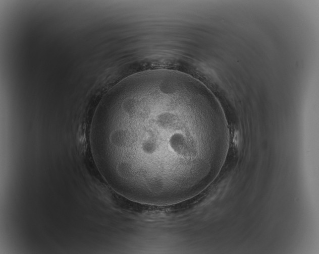 X0000089670771200706281339