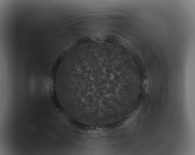 X0000089670772200706281339