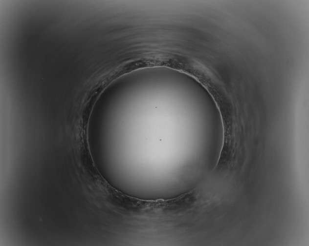 X0000089670773200706281339