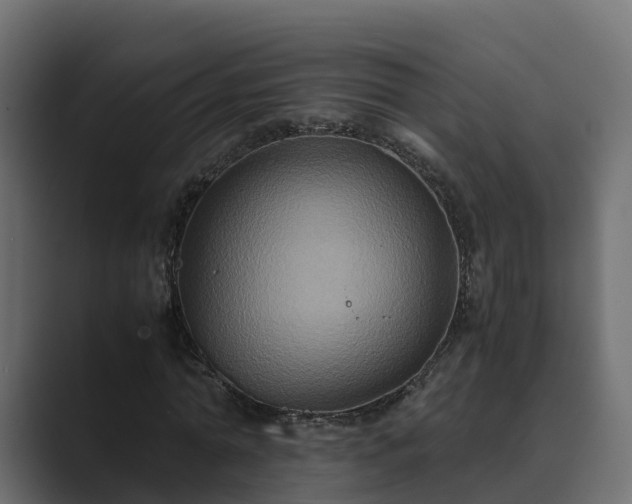 X0000089670774200706281339
