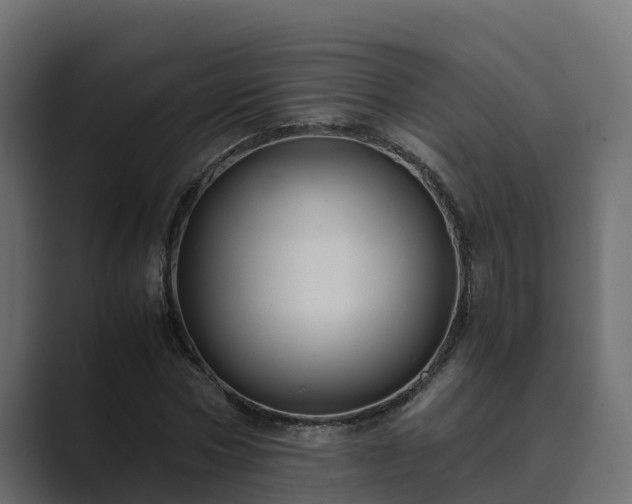 X0000089670778200706281339
