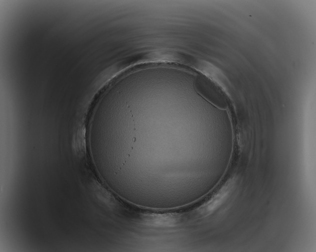 X0000089670781200706281338