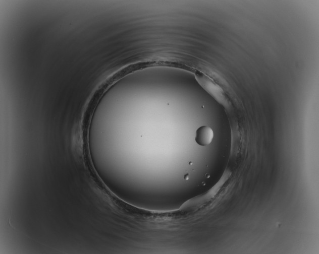 X0000089670784200706281338