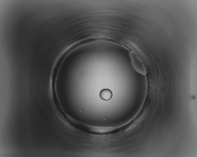 X0000089670788200706281338