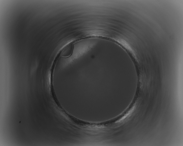 X0000089670790200706281338