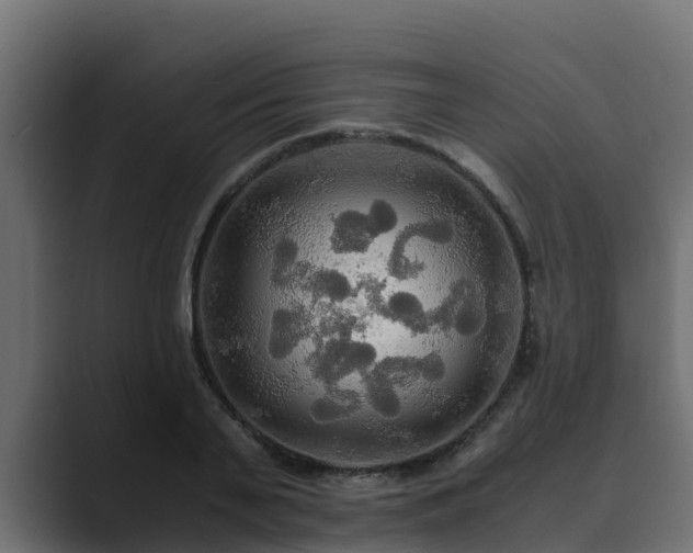 X0000089670791200706281338