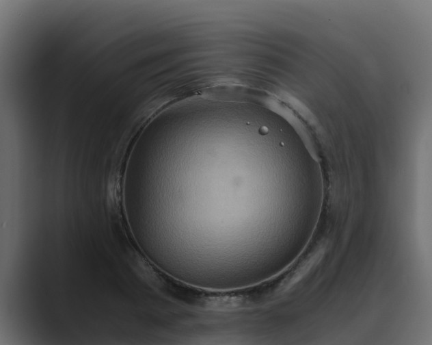 X0000089670793200706281338