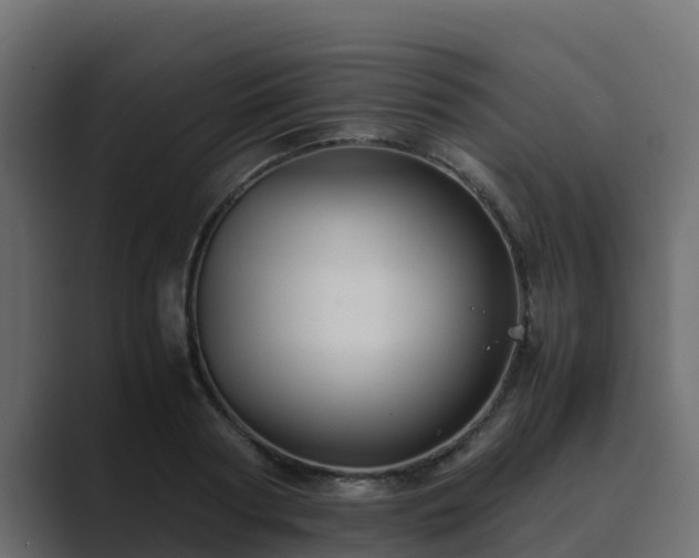 X0000089670794200706281338
