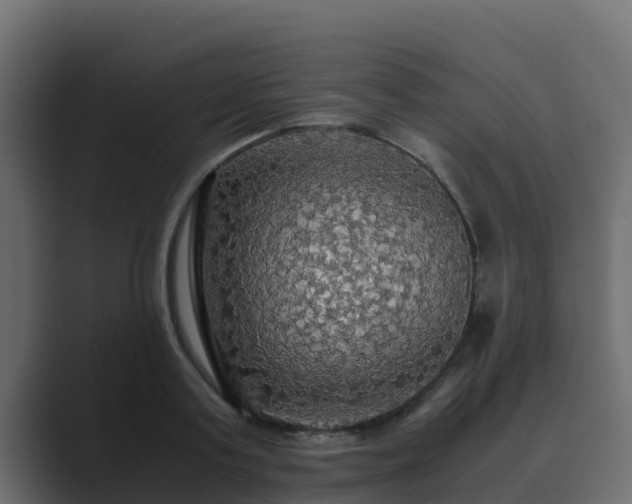 X0000089670795200706281338