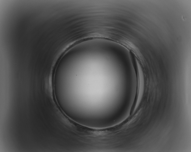 X0000089670796200706281338