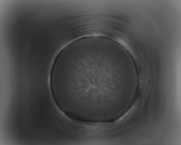 X0000089670797200706281338