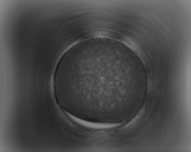 X0000089670798200706281338