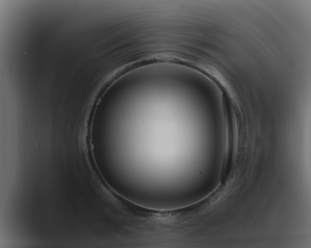 X0000089670799200706281338