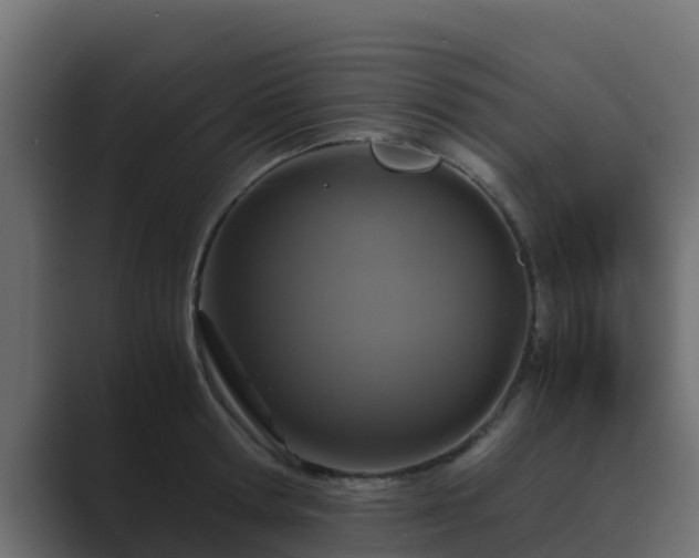 X0000089670802200706281338
