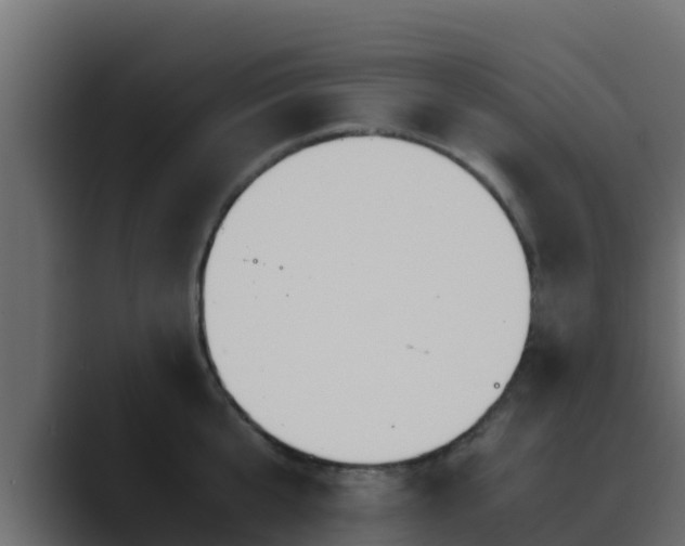 X0000089670807200706281338