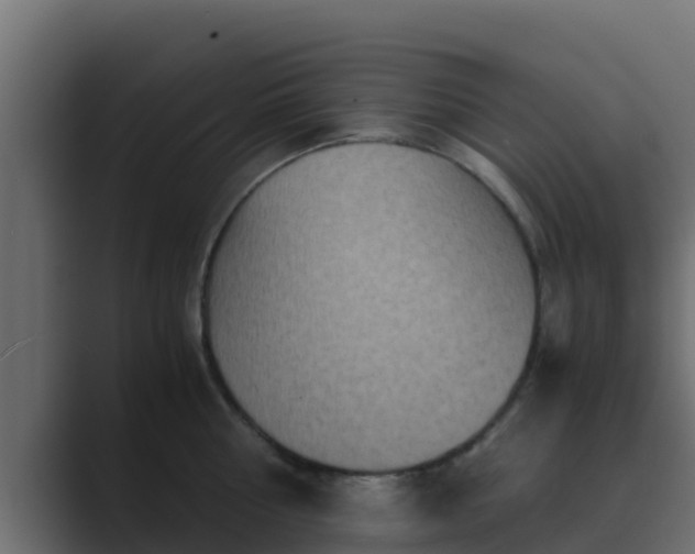 X0000089670810200706281338
