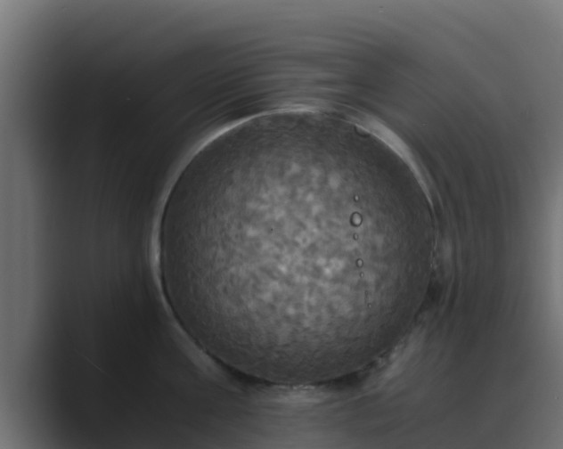 X0000089670811200706281338
