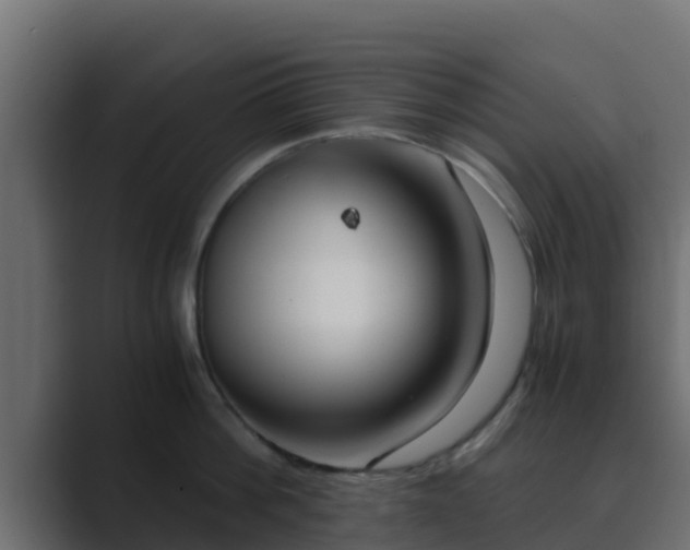 X0000089670812200706281338