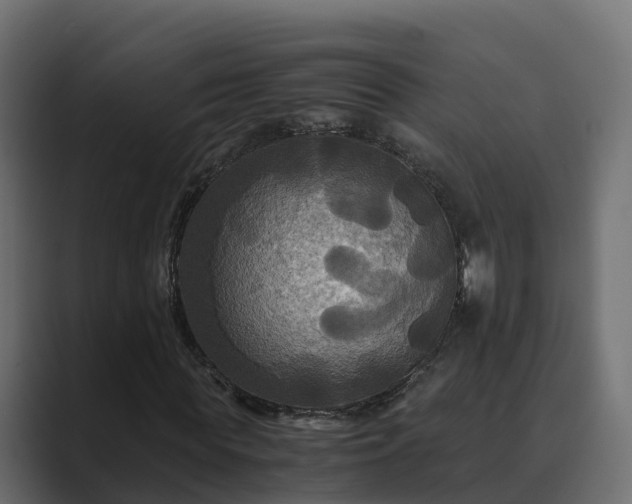 X0000089670819200706281338