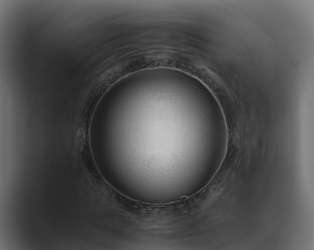 X0000089670821200706281338