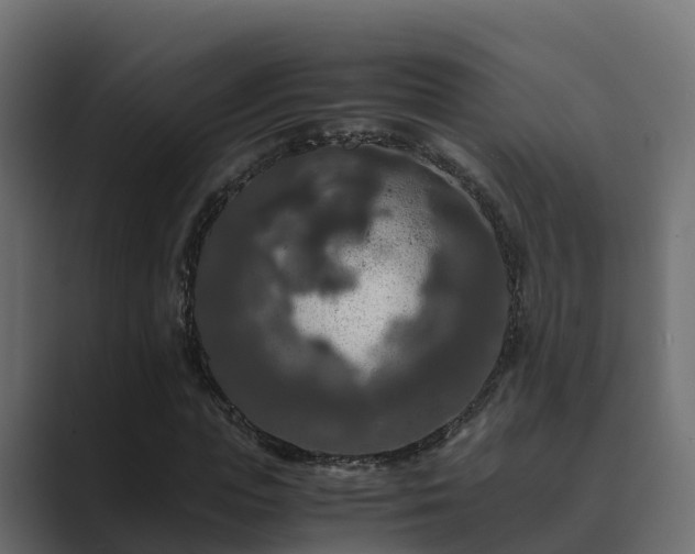X0000089670823200706281338