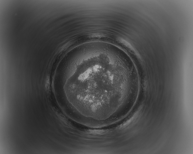 X0000089670825200706281338