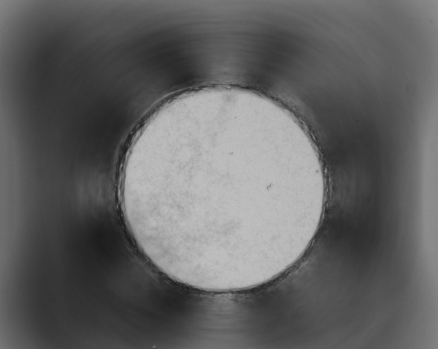 X0000089670828200706281338