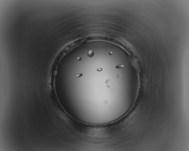 X0000089670830200706281338