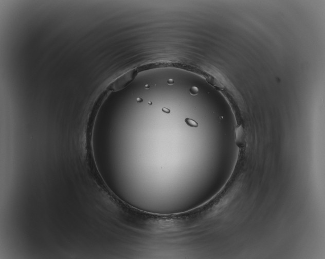 X0000089670834200706281338