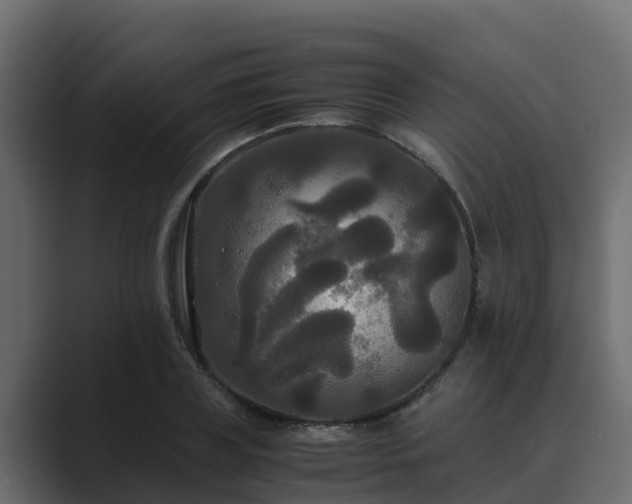 X0000089670835200706281338